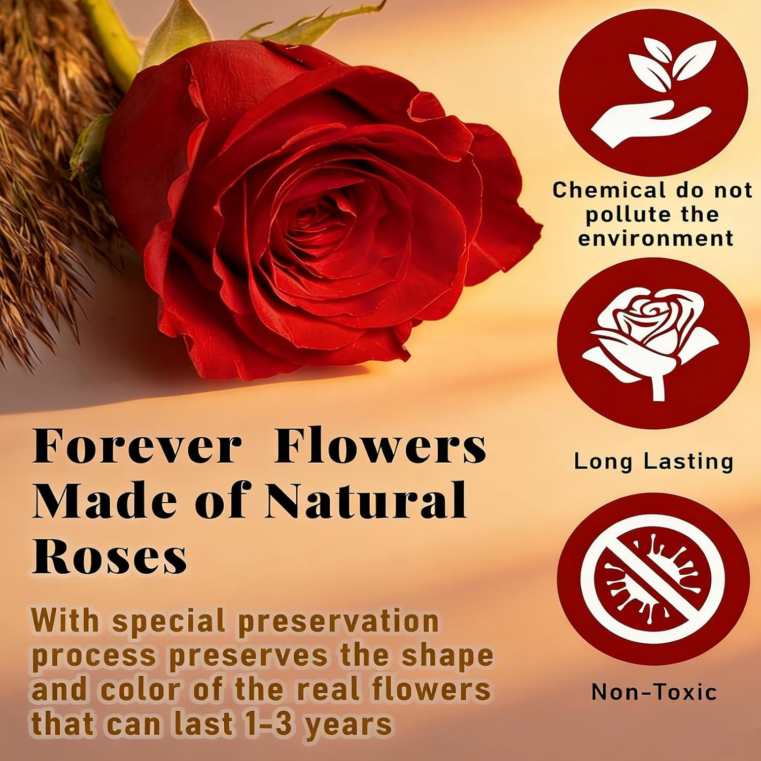 Preserved Forever Roses Heart Shaped Box 16 Real Eternal Flowers Gift | 16 Red