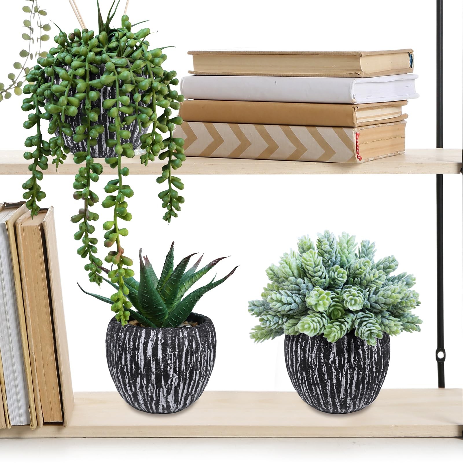 Set of 3 Artificial Succulent Plants in Black Pots Fake Hops Aloe String of P…