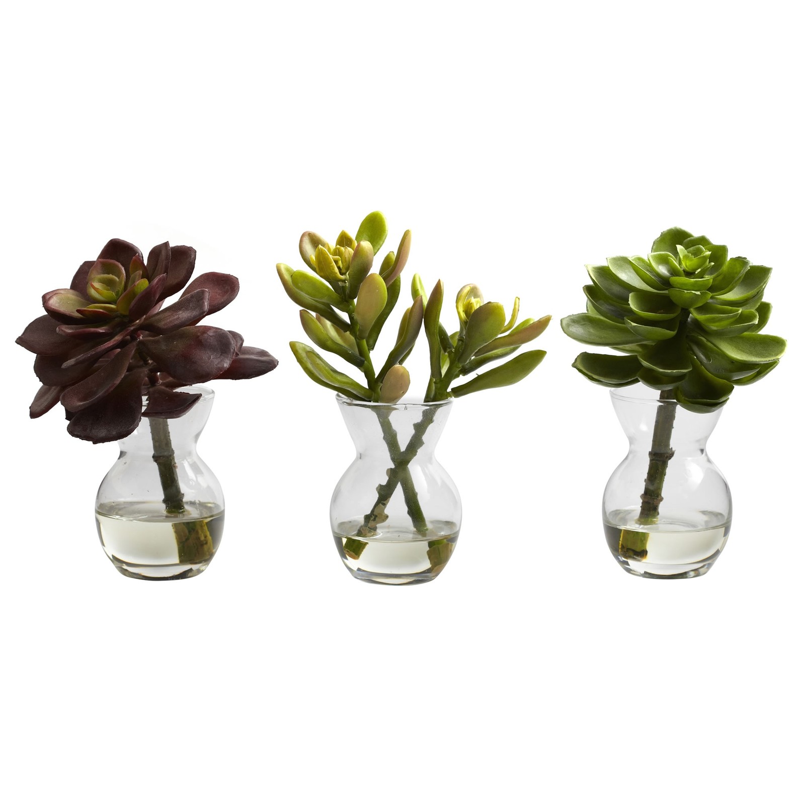 5.5 Inch Succulent Arrangements Set of 3 Faux Plants in Mini Vases with Liquid