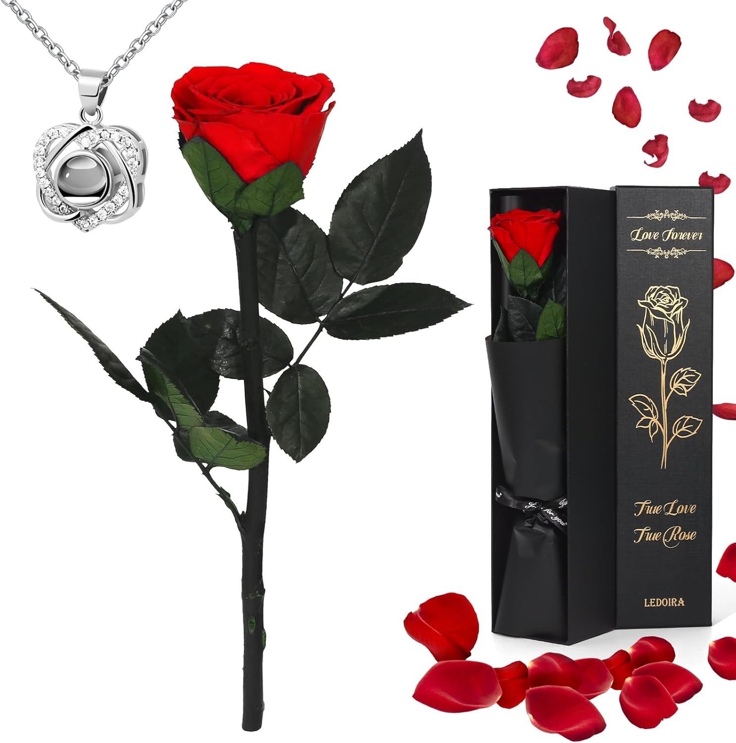 Ledoira Preserved Real Rose Forever Flowers with Heart I Red With Necklace