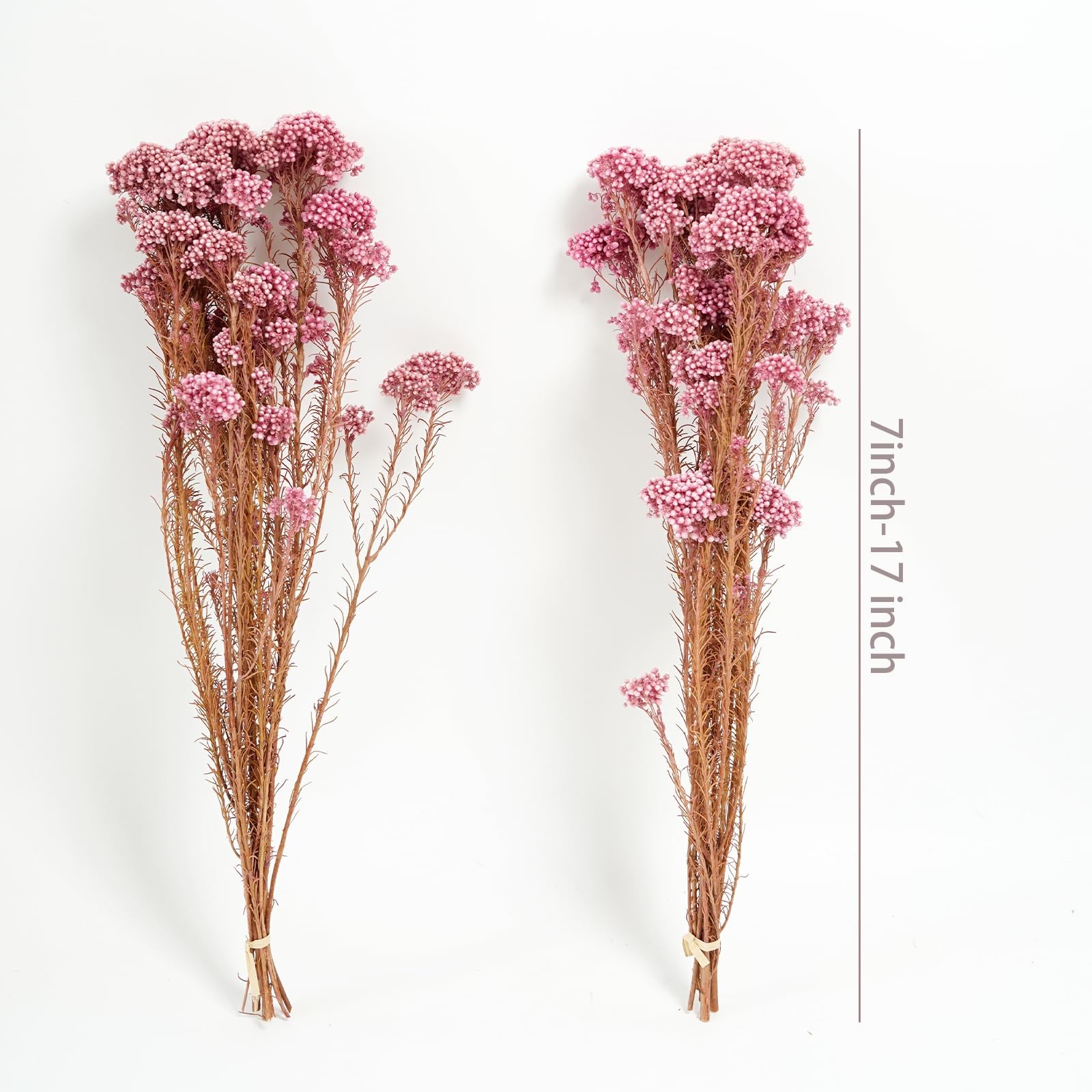 Cherry Pink Natural Preserved Millet Dried Bouquet Flowers Home Wedding Decor
