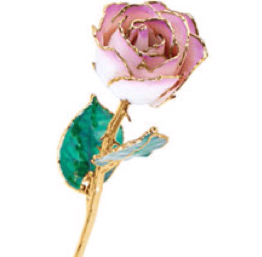 24K Yellow Gold Trimmed White Rose April Diamond White Real Long Stem Rose