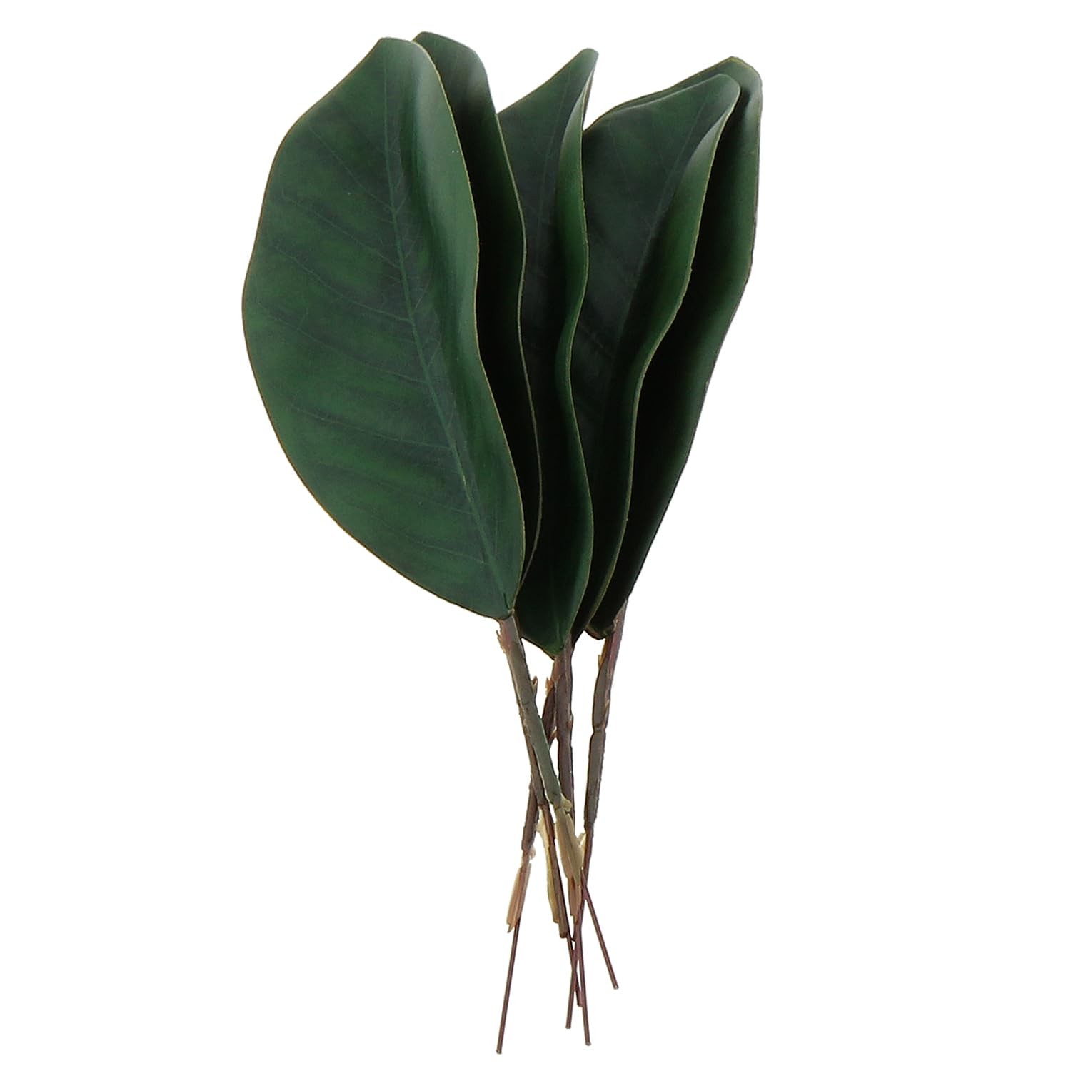 12PCS 19.5x6cm Artificial Small Size Simulation Magnolia Leaf Green Artificia…