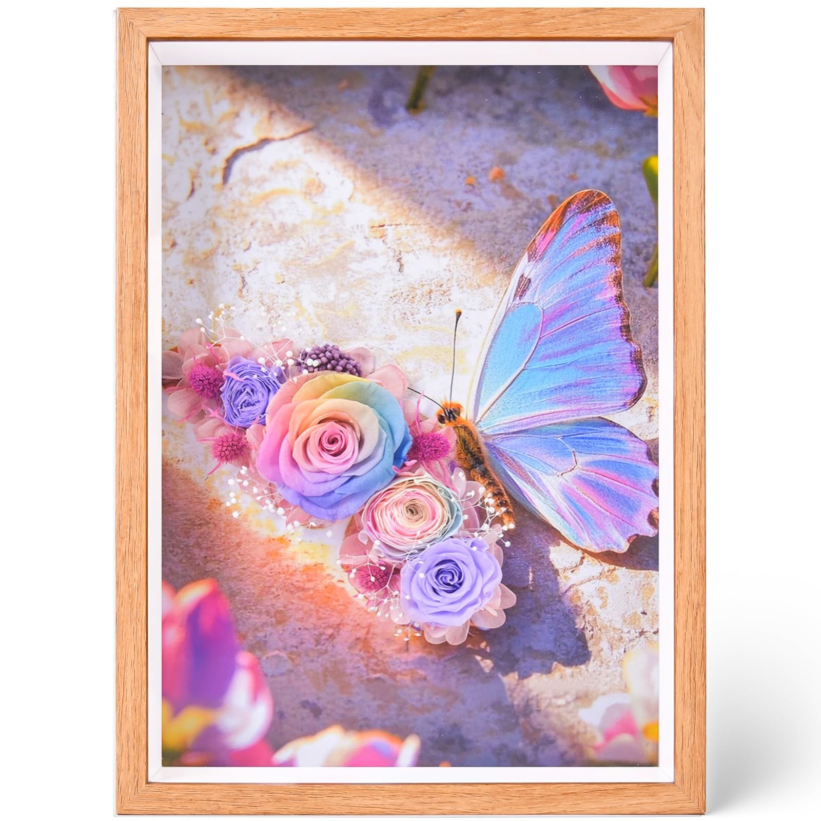 Worthfan Preserved Flower Butterfly Shadow Box Frame, 3D Wall Art Decor with …