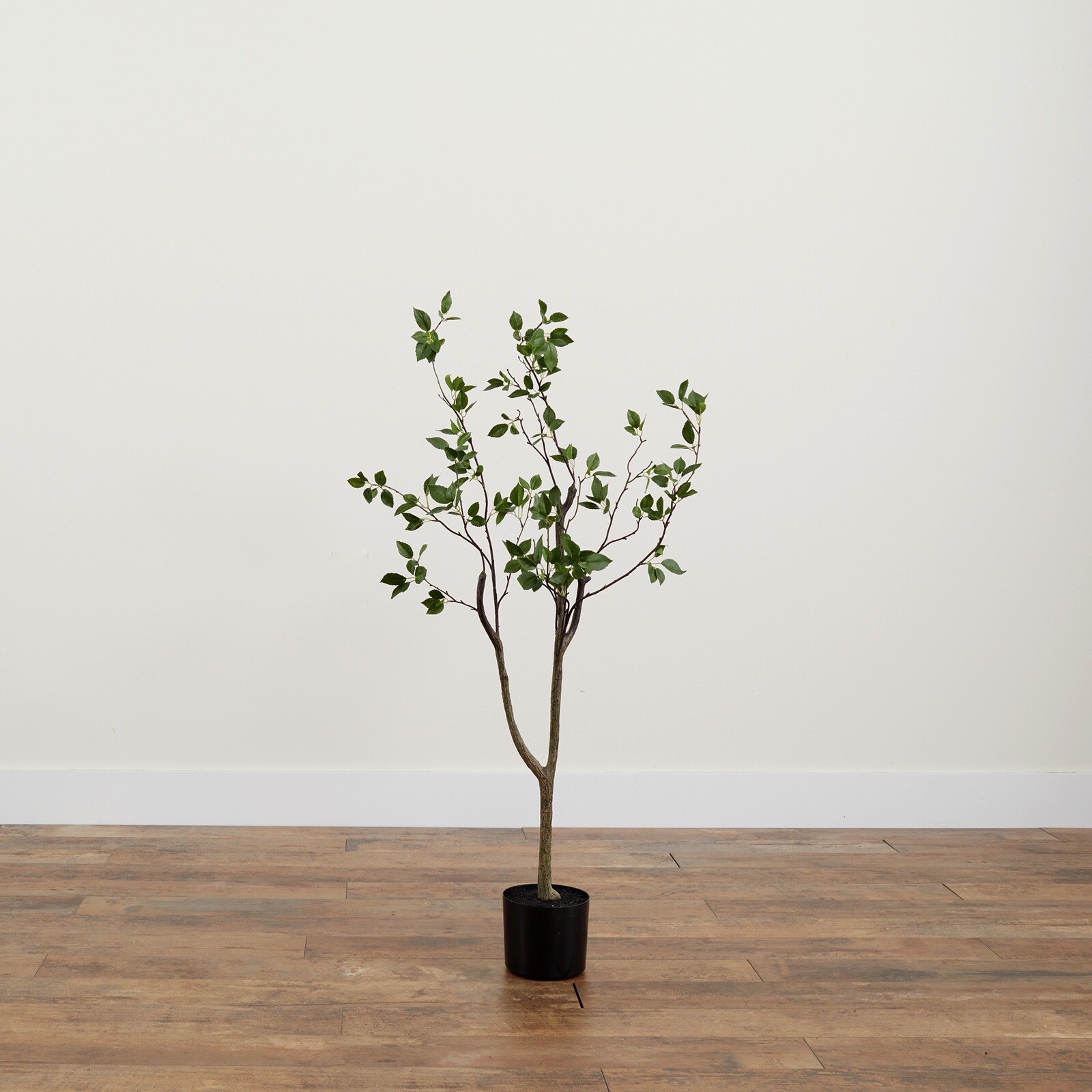 4′ Artificial Citrus Minimalist Tree Home Decor. Retail $129