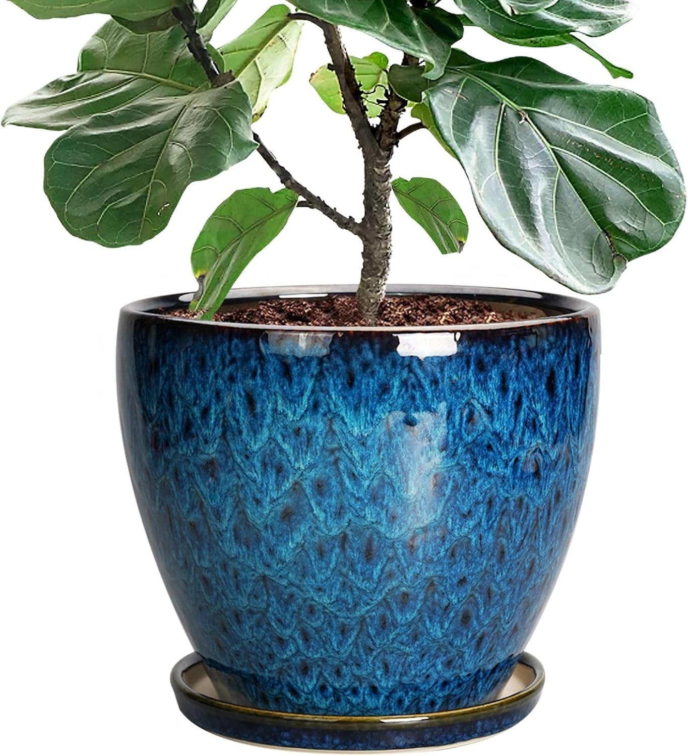 10 Inch Ceramic Planter Pot Round Plant Pot for Indoor Plants Outdoor Large F…