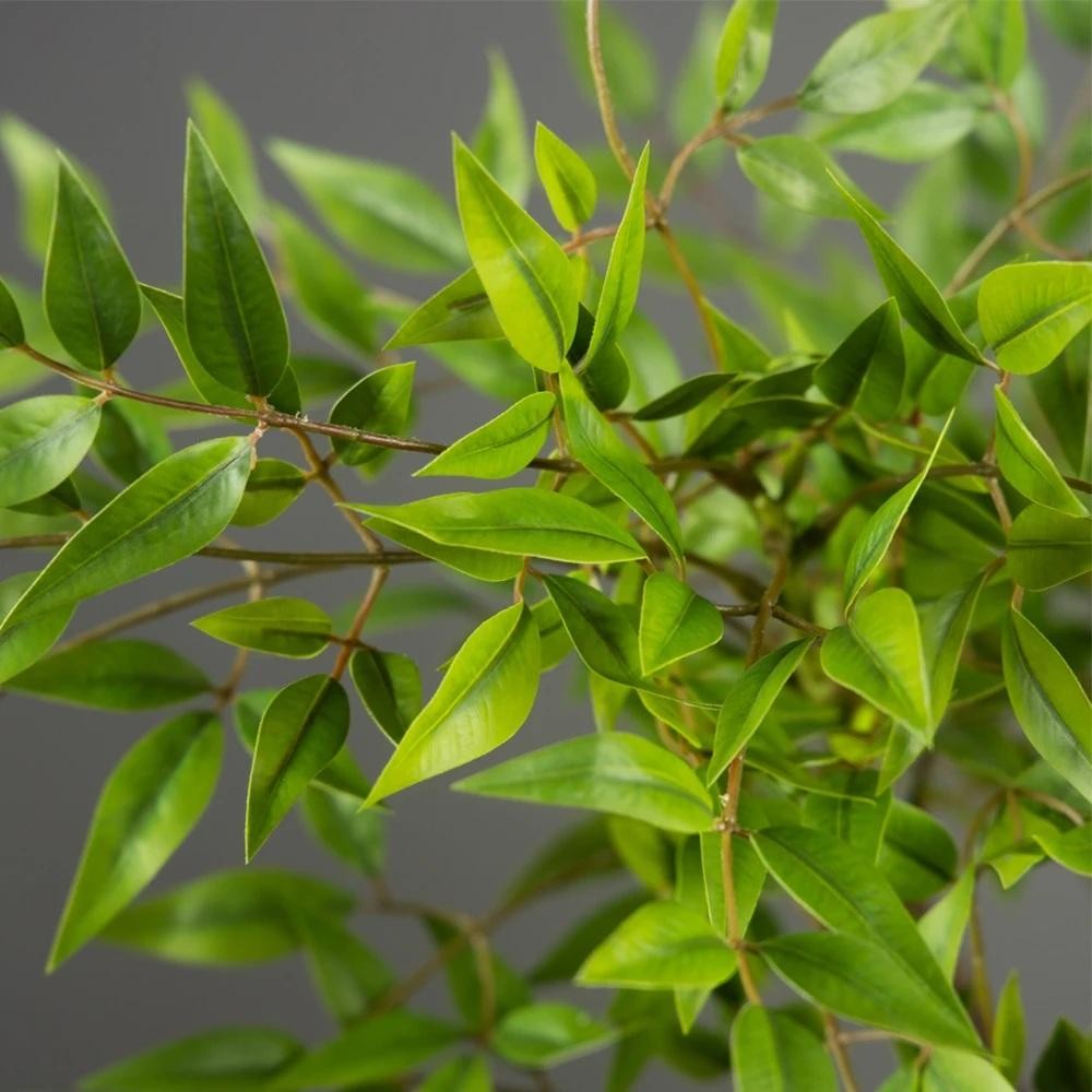 75 140cm Artificial Nandina Tree Green Tall Faux Branches Home Office Decor