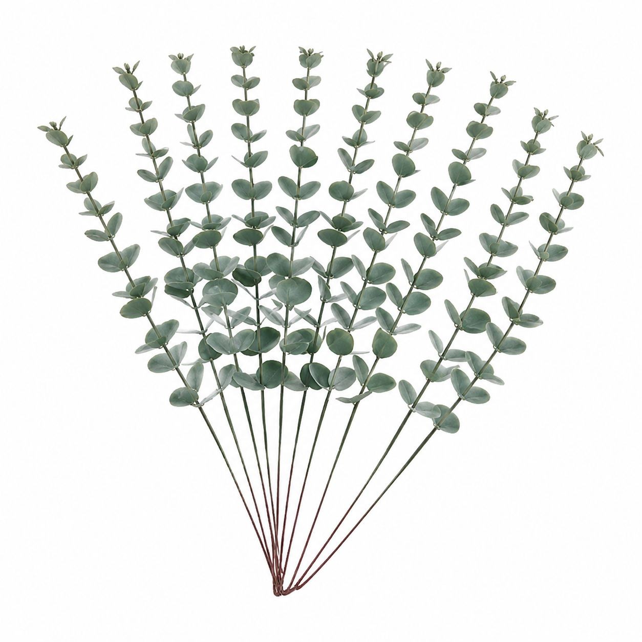 Faux Eucalyptus Stems Sage Green Eucalyptus Greenery Artificial Eucalyptus Weddi
