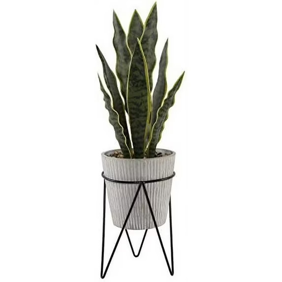 Artificial Plant 1.8 FT H Snake Plant In Gray Needle Cement In Black Metal Weld