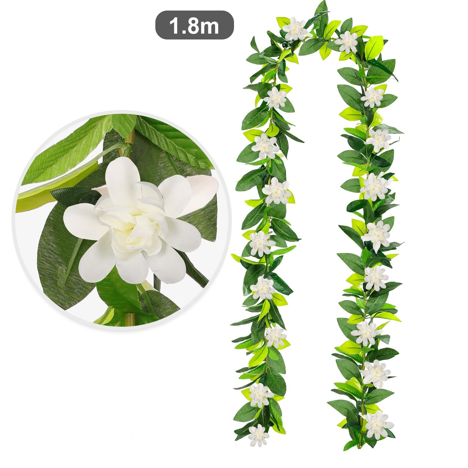 6ft Hawaiian Graduation Lei Traditional Maile Lei with White Tuberose 2026 Gr…