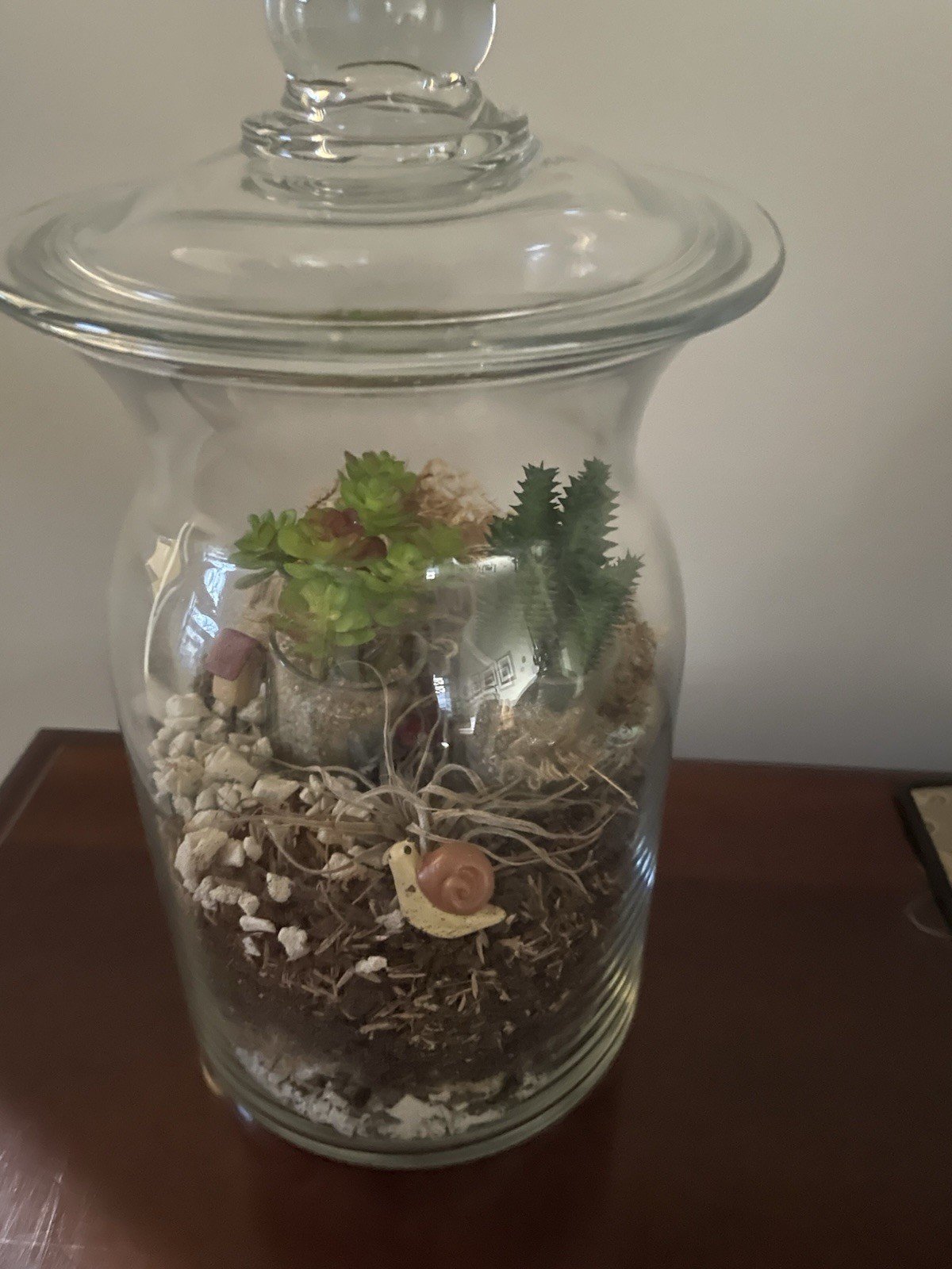 Artificial Terrarium, Self Contained Succulent Ecosystem In A Glass Container