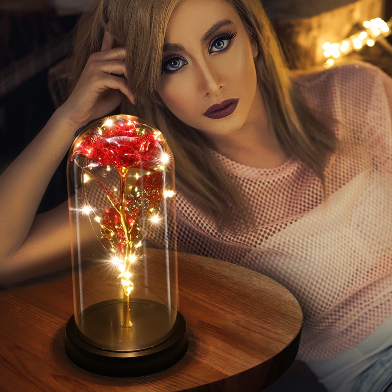 Christmas Rose Gift for Women Mon – Flower LED Light in Glass Gifts for Birthday