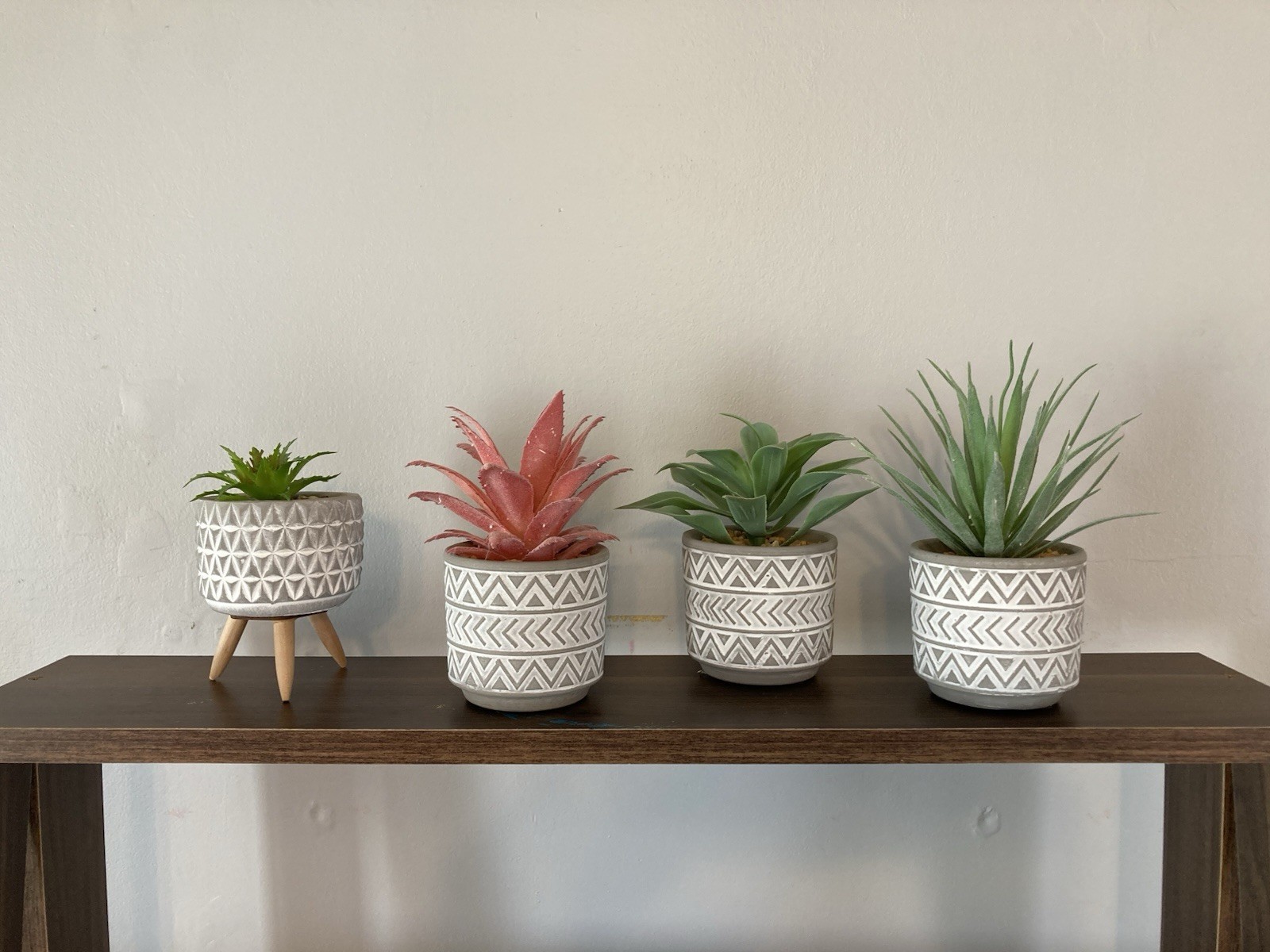 Succulent Tabletop Decor