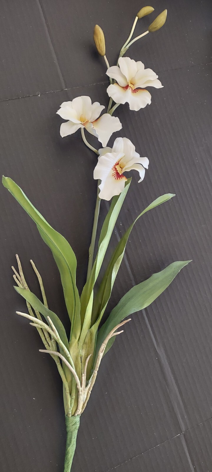 ARTIFICIAL miltoniopsis orchid plant CREAM