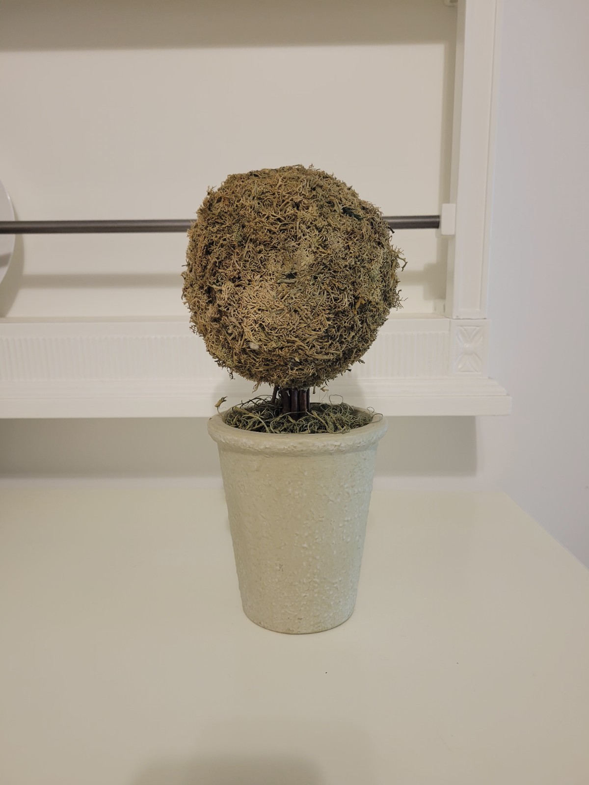Artificial Moss Ball Topiary in Pot, 12 in, Green/Beige Dried Greenery