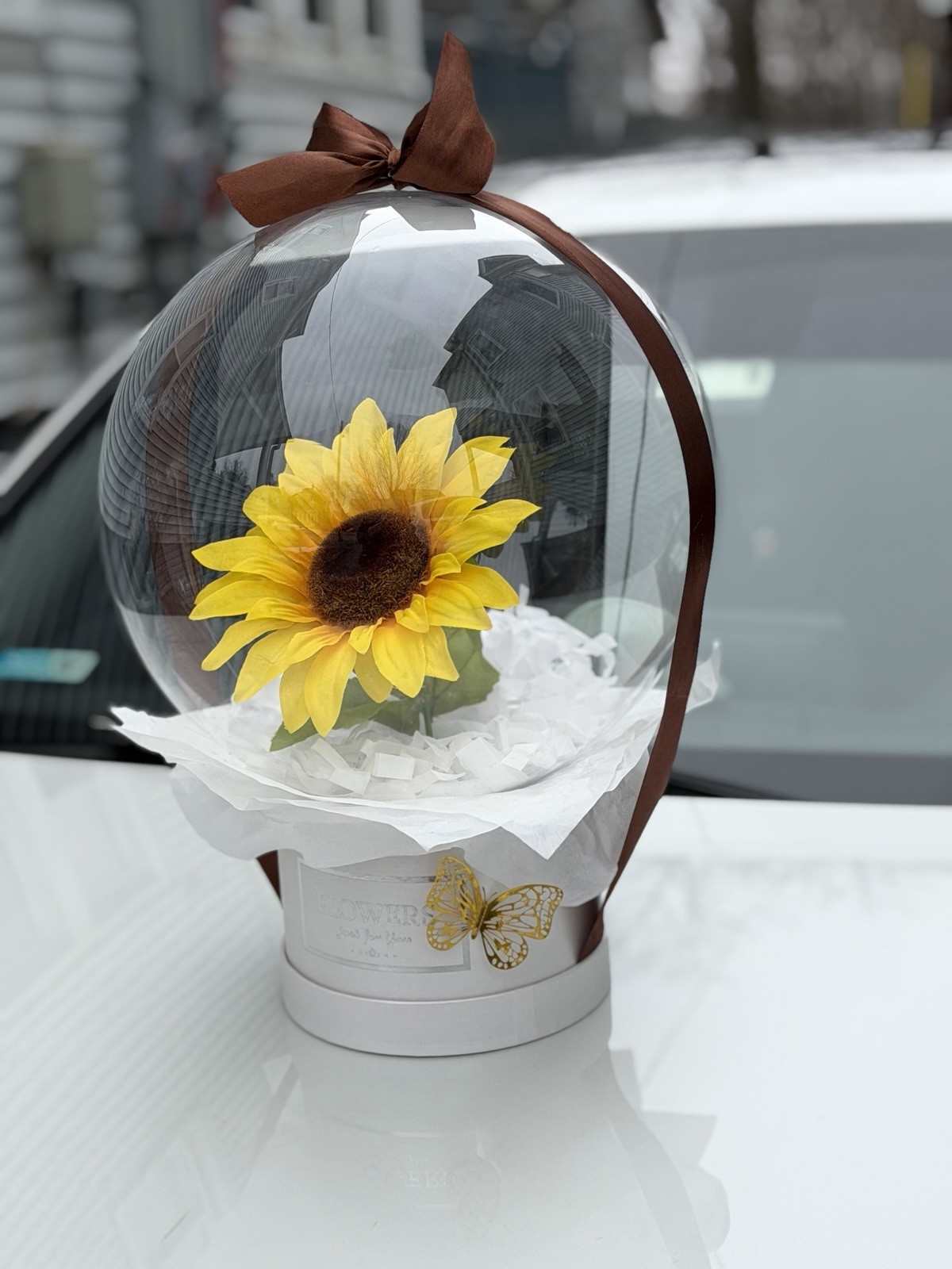 Sunflower in bubble balloon
