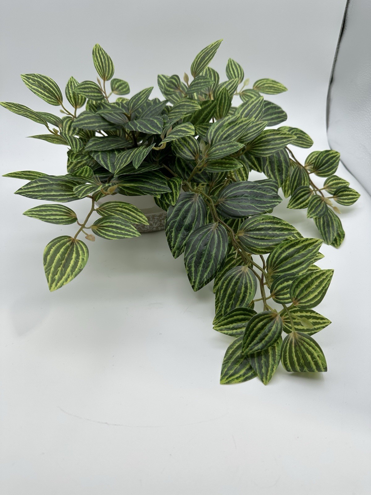 Ceramic Potted Faux Artificial Plant 6 In Height 15 In Length – Brand New!