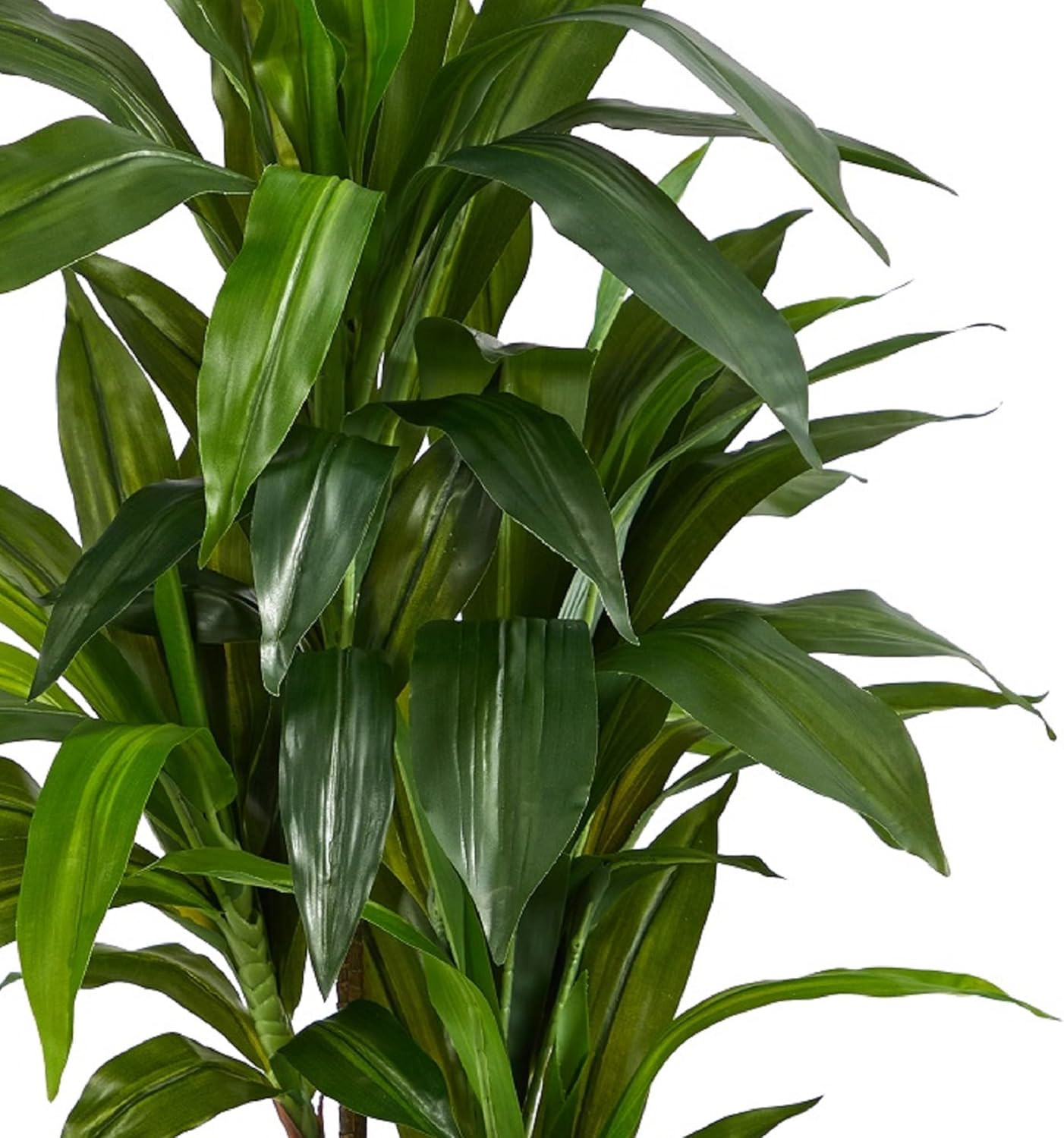 48″ Real Touch Dracaena Silk Plant – Green