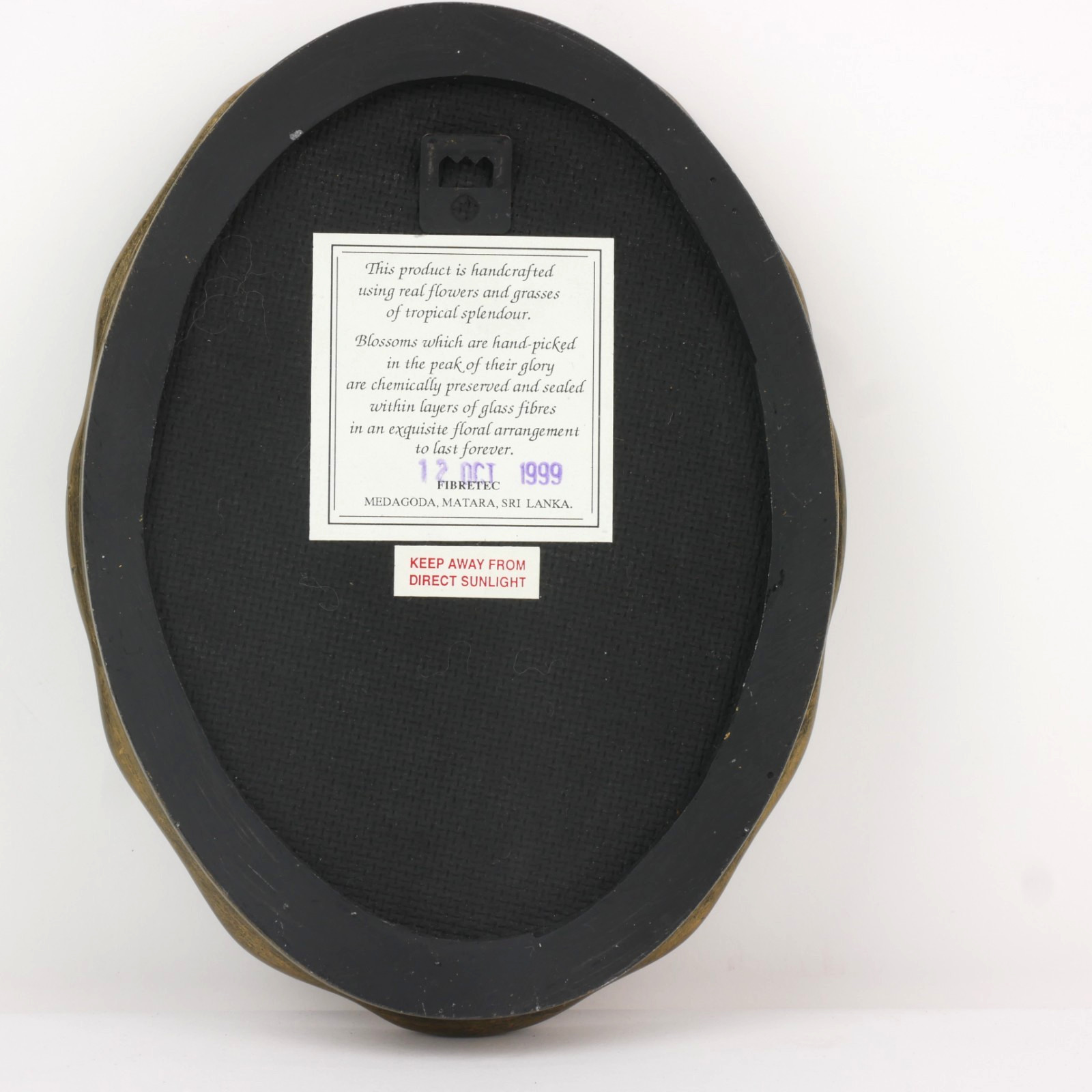 Vintage 1999 Fibretec Sri Lanka Preserved Real Tropical Flower Art Oval Frame