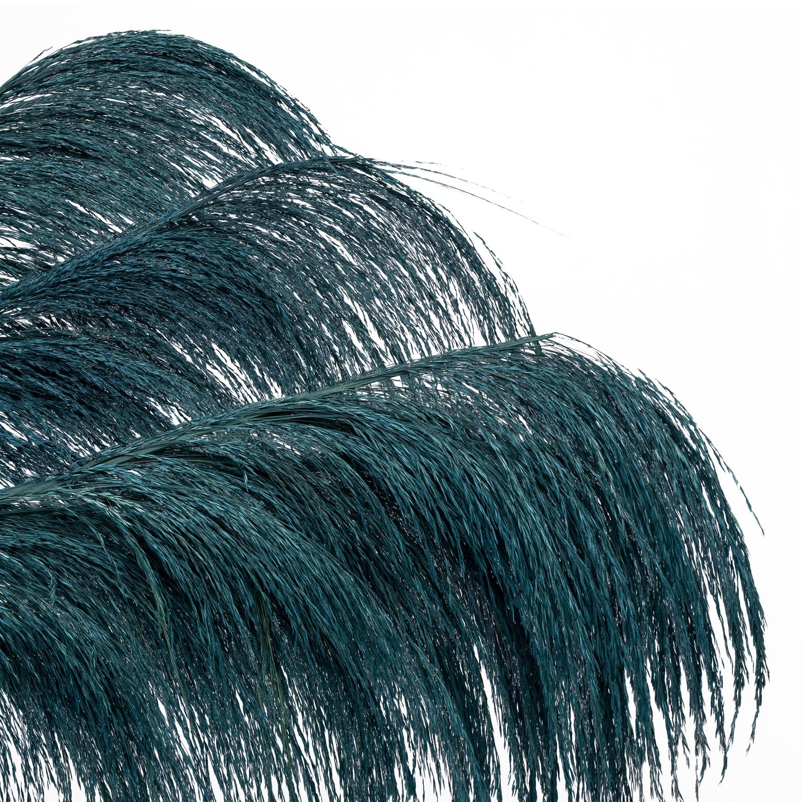 8 PCS Blue Teal Pampas Grass Decor 31.5 Inch Tall Natural Dried Floral