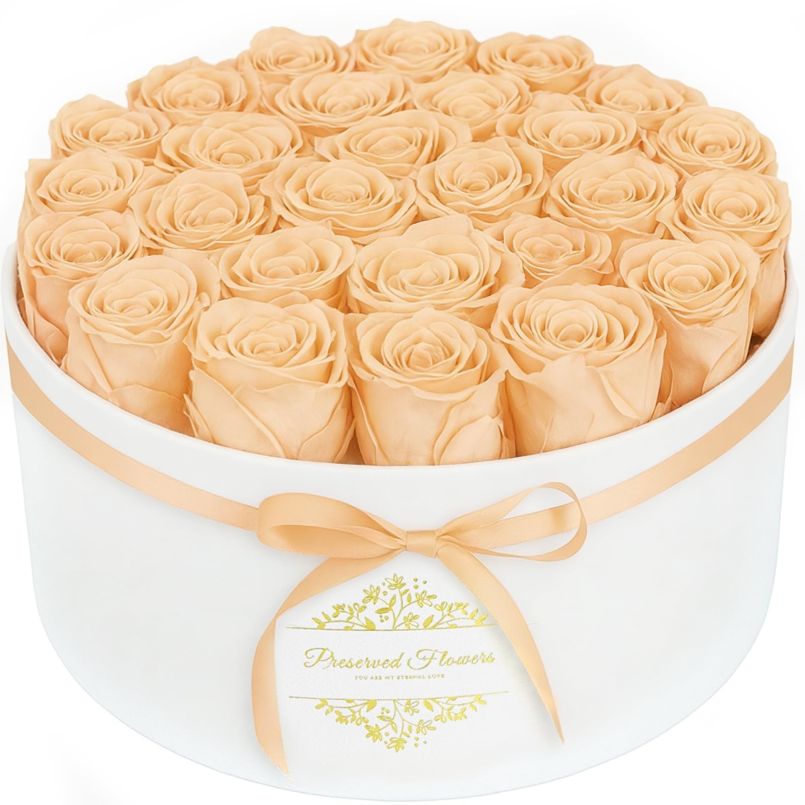17 Preserved Forever Flowers in Luxury Suede Box – Romantic Gifts for Her, Anniv