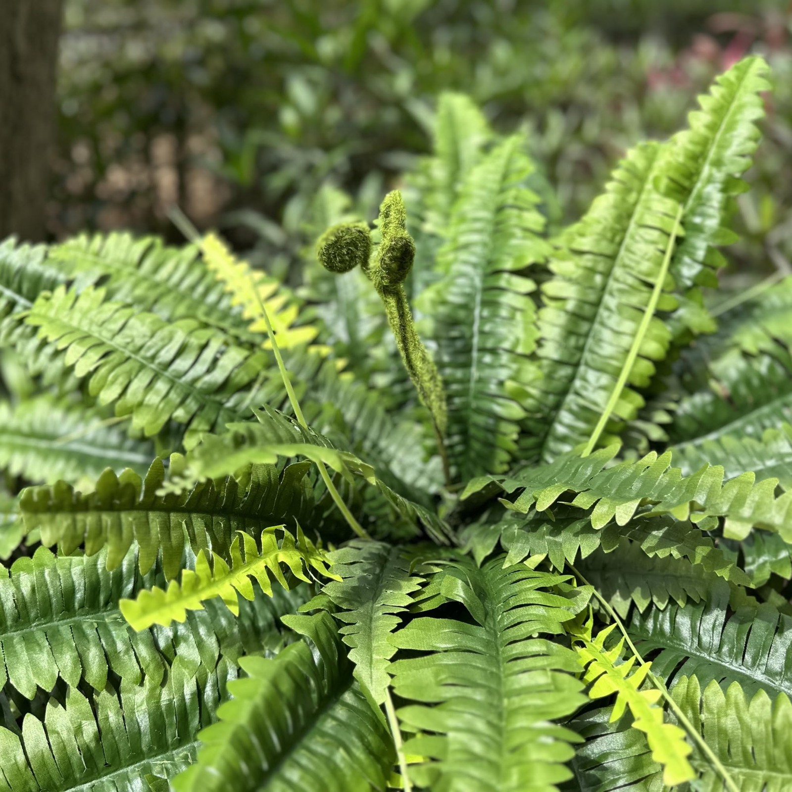 Artificial Ferns for Outdoors & Indoors, 45in Large Fake Ferns Plants with 55…
