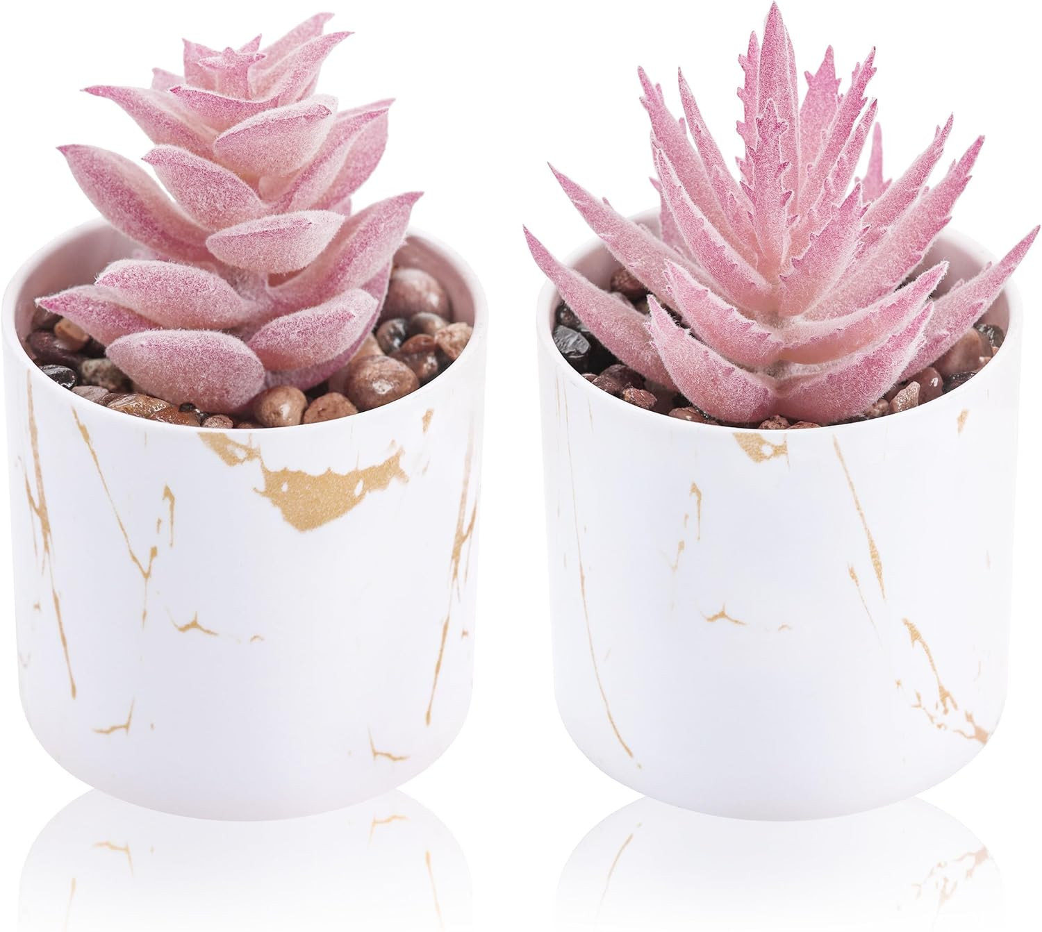 Set of 2 Succulents Plants Artificial Mini Fake Succulents Plants Graduation Gif