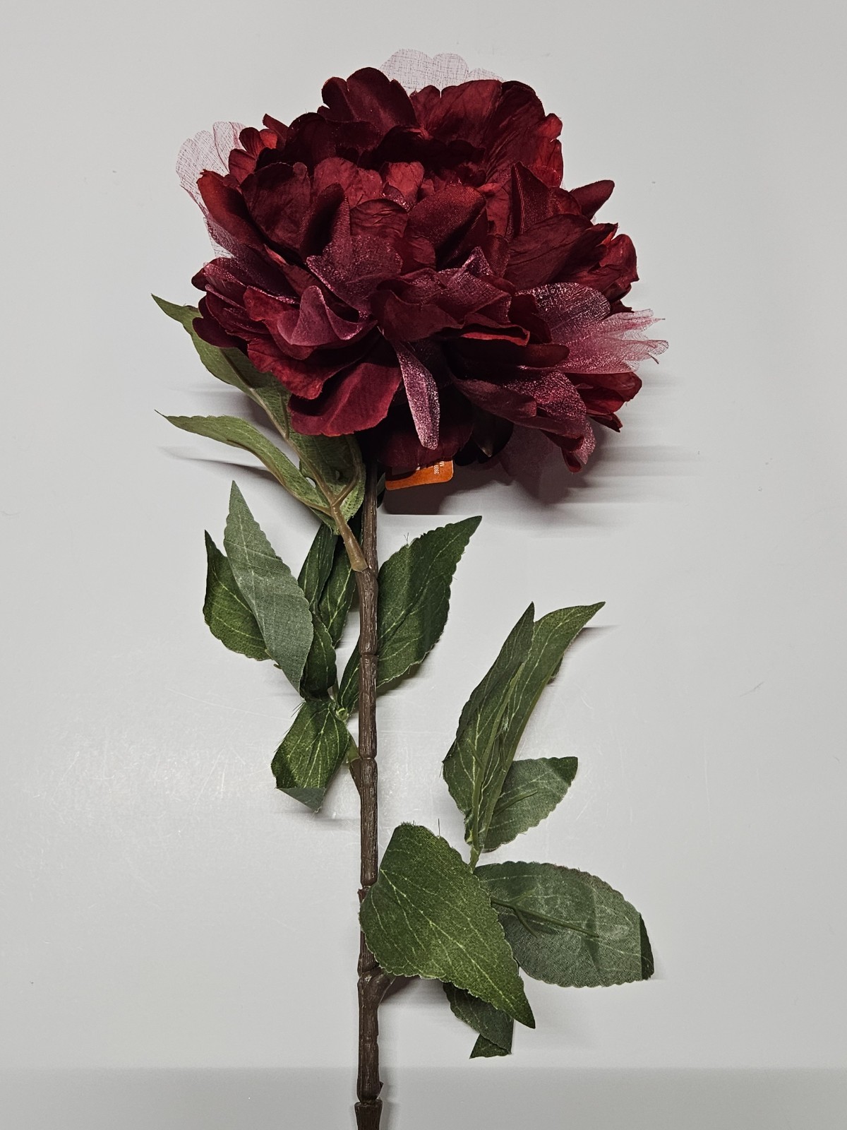 Ashland Dark Red Peony Stem