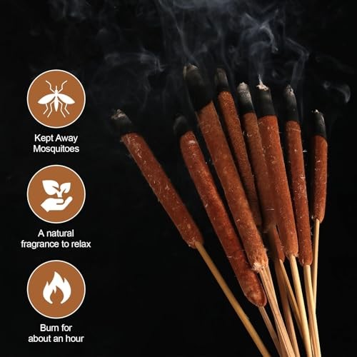 Dried Natural Cattails – 20PCS for DIY Floral Arrangements and Home Office