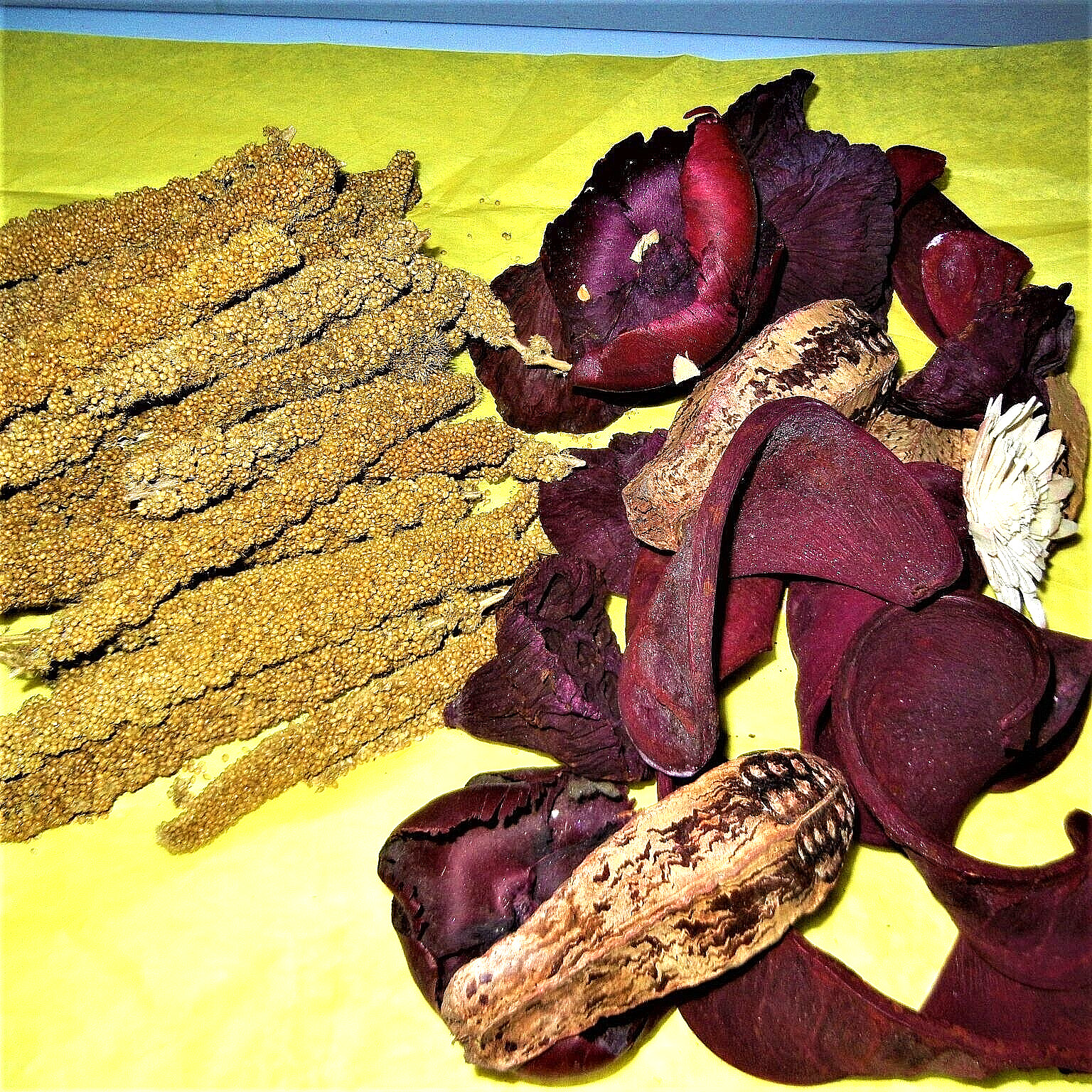 Flora Crafts Stems Dried Lotus Pods Curly Bark Flowers 3lbs