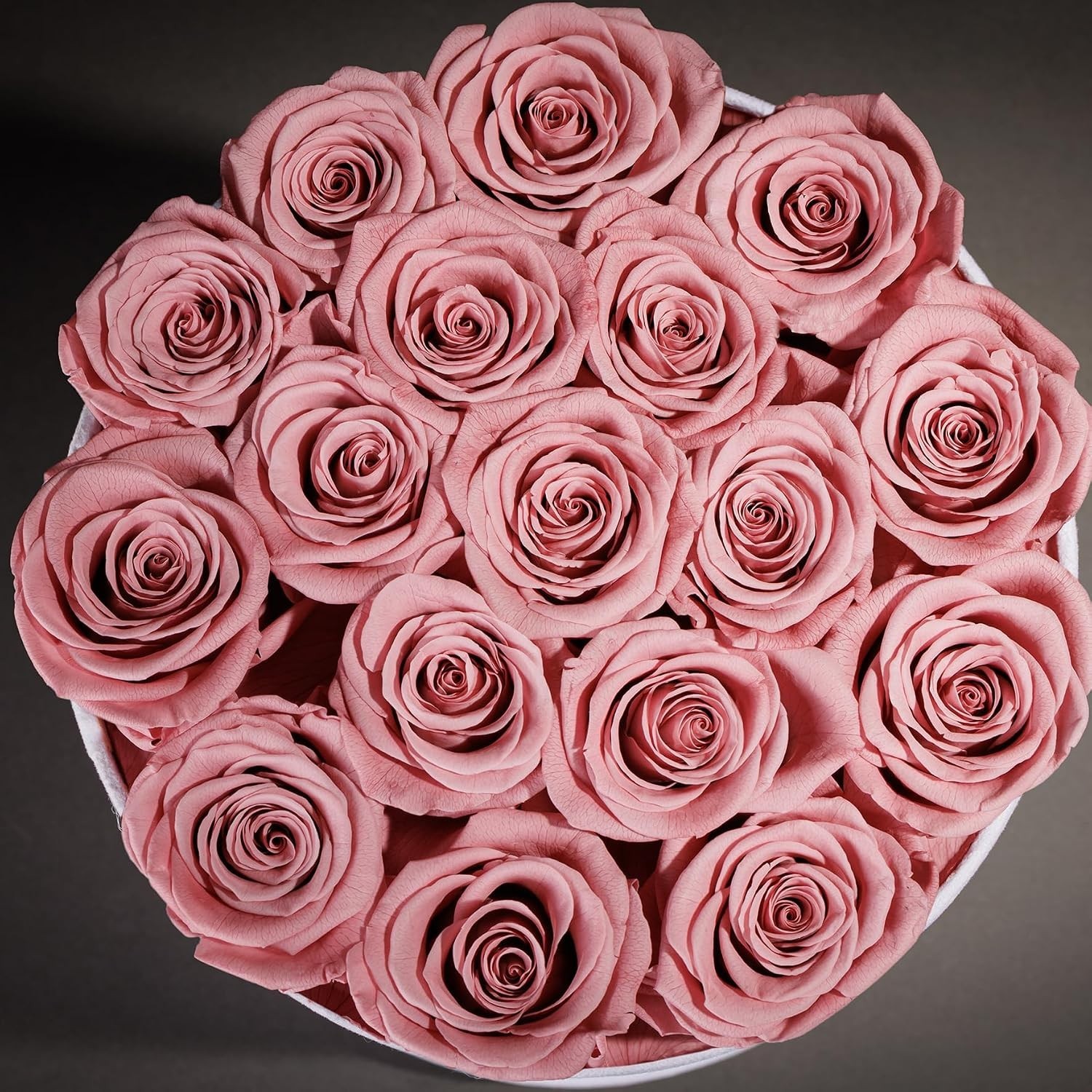 Luxury Preserved Roses in Suede Box – 17 Roses for Anniversaries & Birthdays