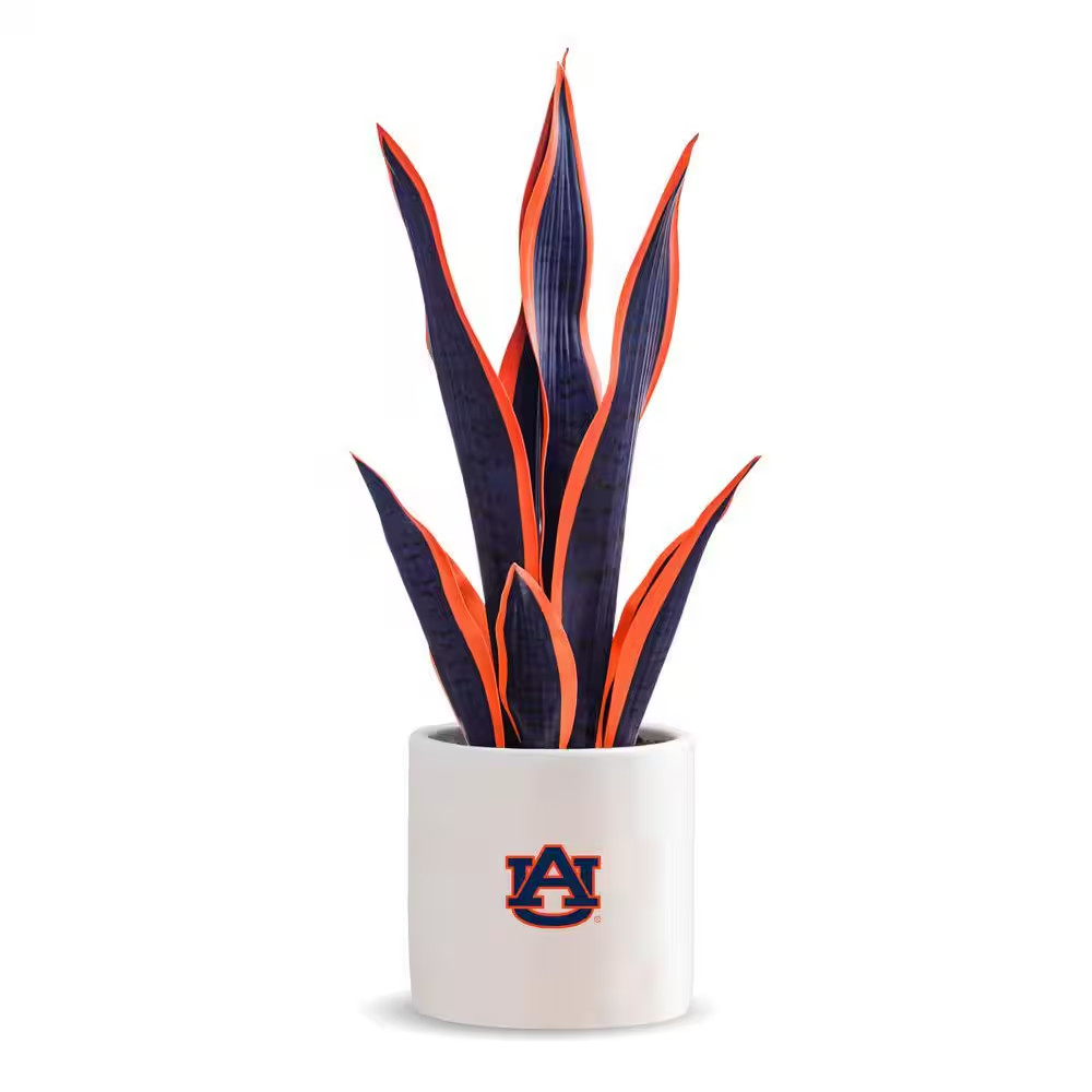 20 In. Auburn Artificial Snake Plant – Auburn Fan Gifts