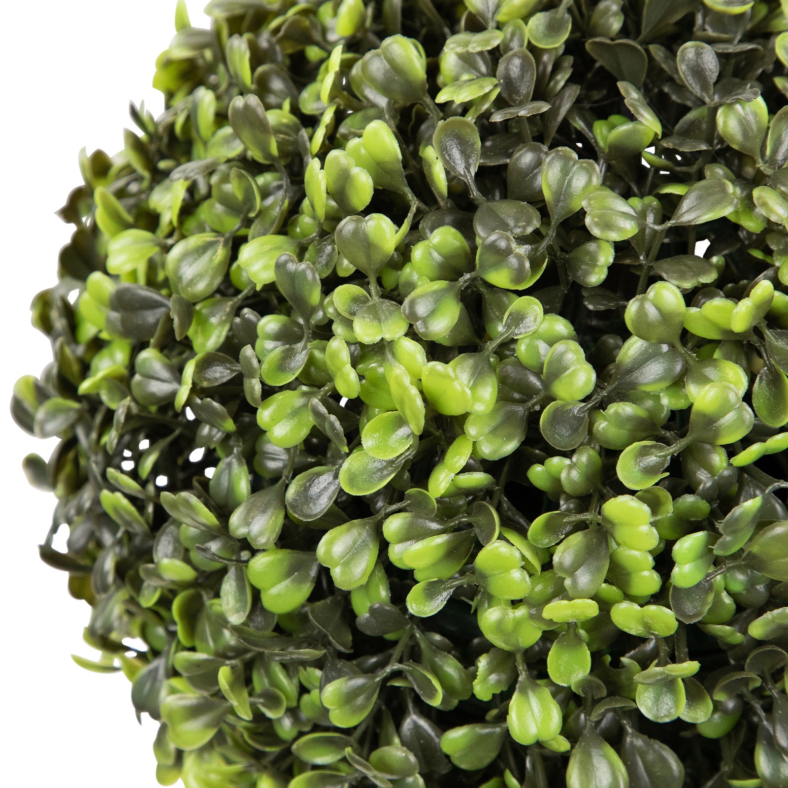 Northlight 10.5IN Potted Artificial 2Tone Green Boxwood Spring Garden Decor