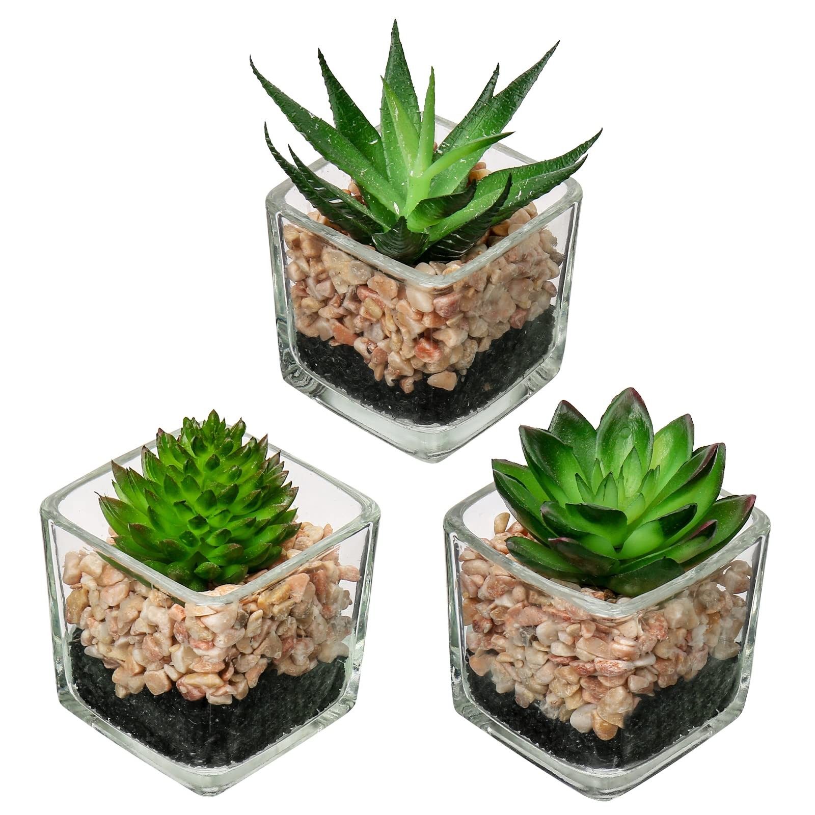 Set Of 3 Succulents Plants Artificial In Glass Pots Small Fake Succulents Plants