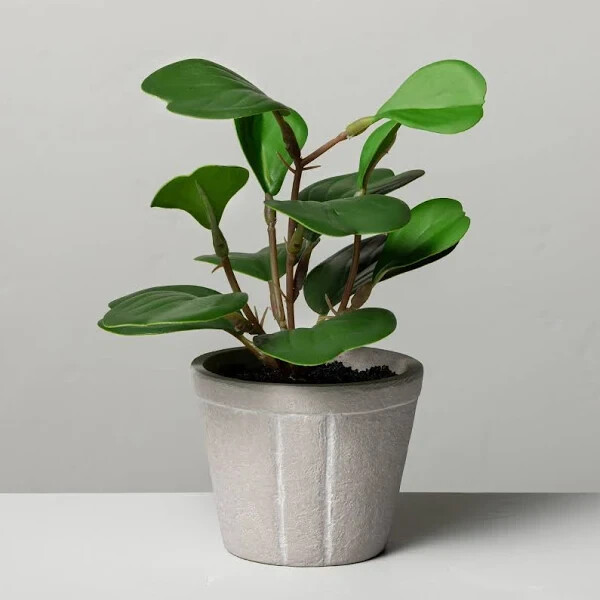 Faux Hoya Heart Potted Plant from Hearth and Hand with Magnolia *4 Pack* 7″ Mini