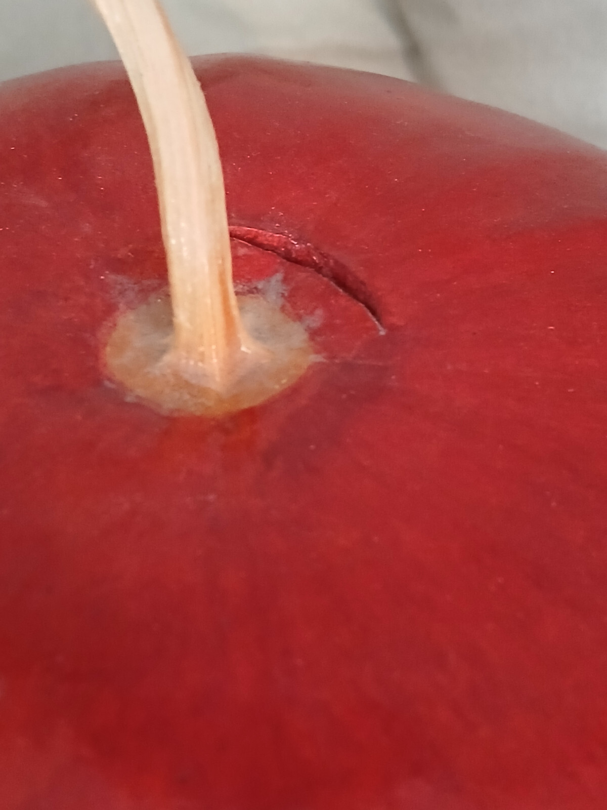 Large Apple Fall Perfect Natural Gourd Dried Decor Painted Red6 x 8 in