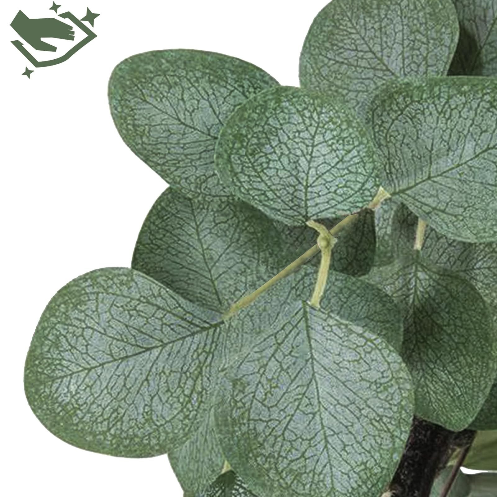 6FT Tall Fake Eucalyptus Plant, Green Silver Dollar Leaves Faux Tree, Artific…