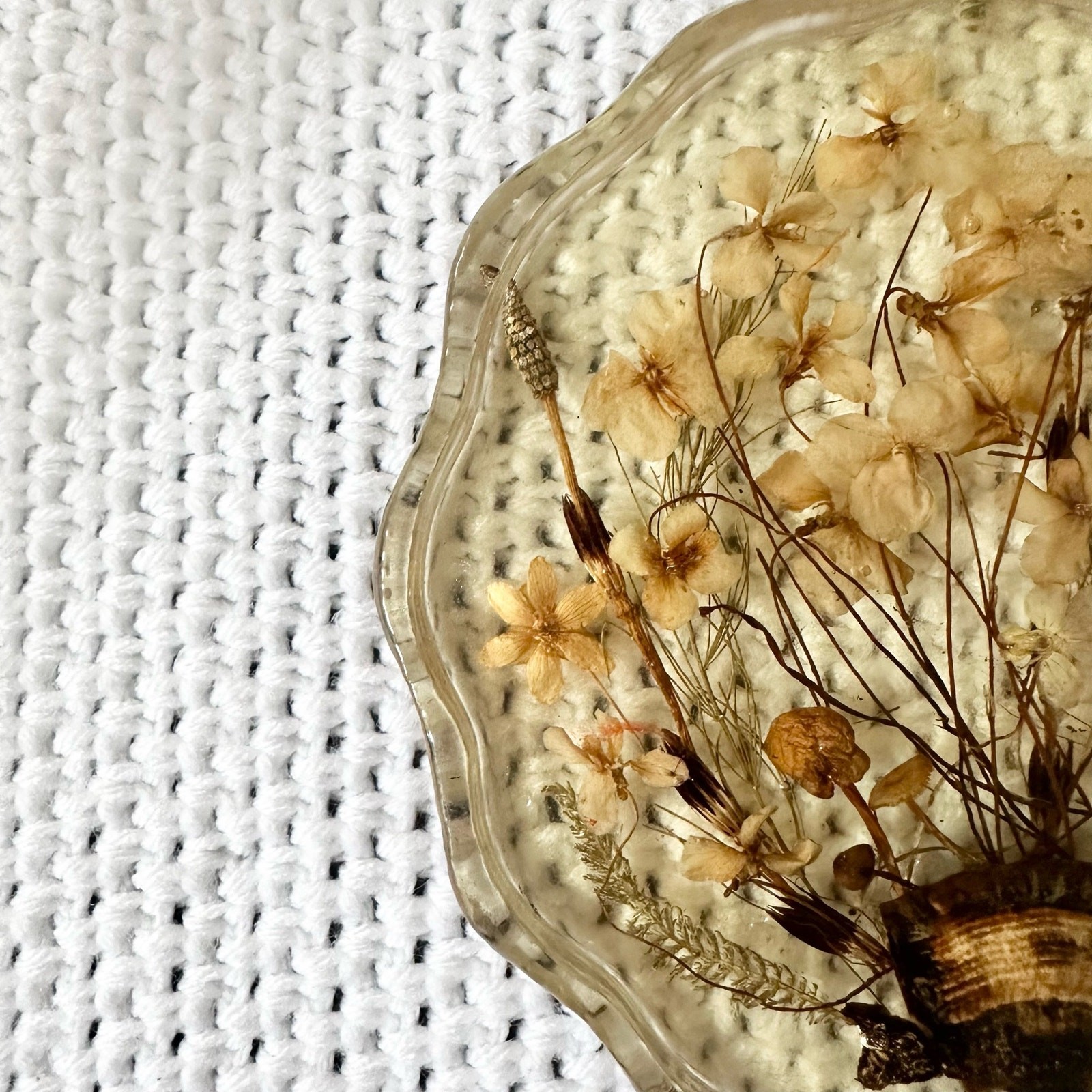 Resin Scalloped Edged Dried Preserved Pressed Wildflowers Seashell Wall Hanging