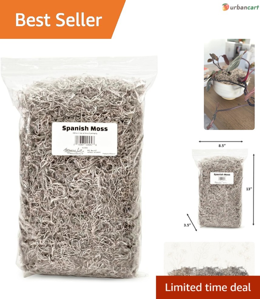 Natural Spanish Moss for Decor, Crafts & Plant Care