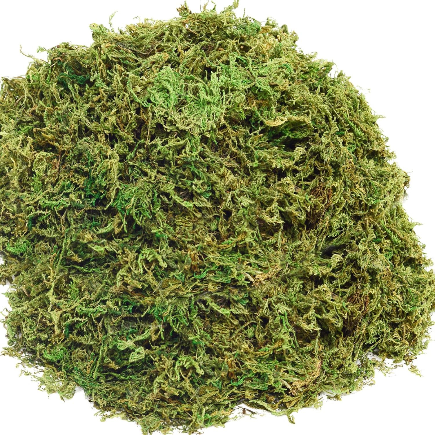10OZ Fake Moss Artificial Moss for Potted Plants Greenery MossHome Decor Fairy G