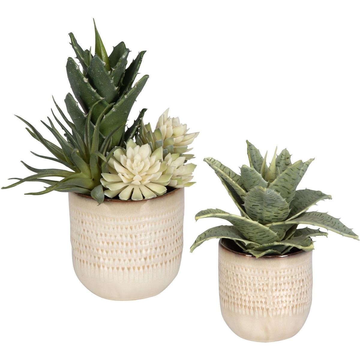 Uttermost 60208 Seaside Succulents Artificial Flower or Plant