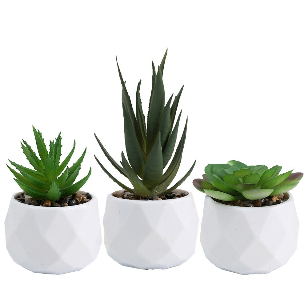 3pcs Elegant Artificial Succulent Plants for For home and Office Display