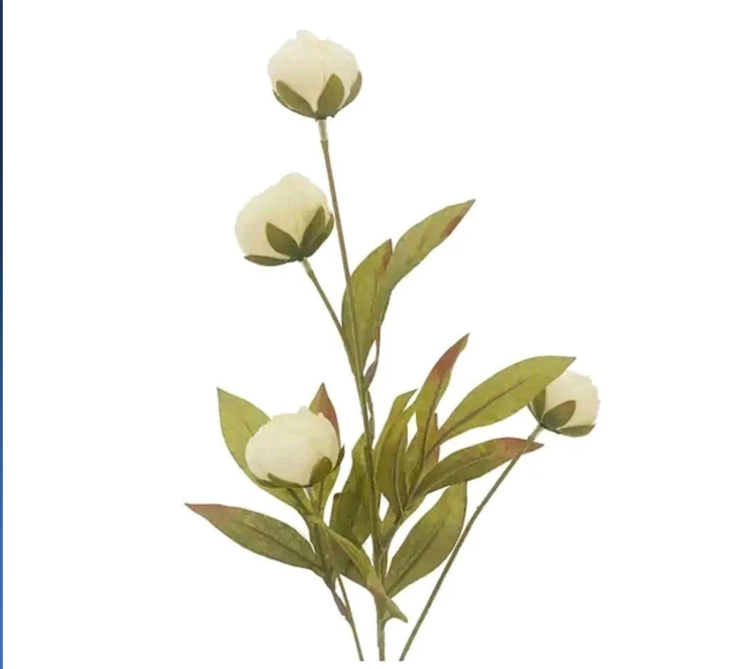 Michael’s Ashland Cream Peony Stems Set of 8 28” Viral TikTok Flowers FREE SHIP