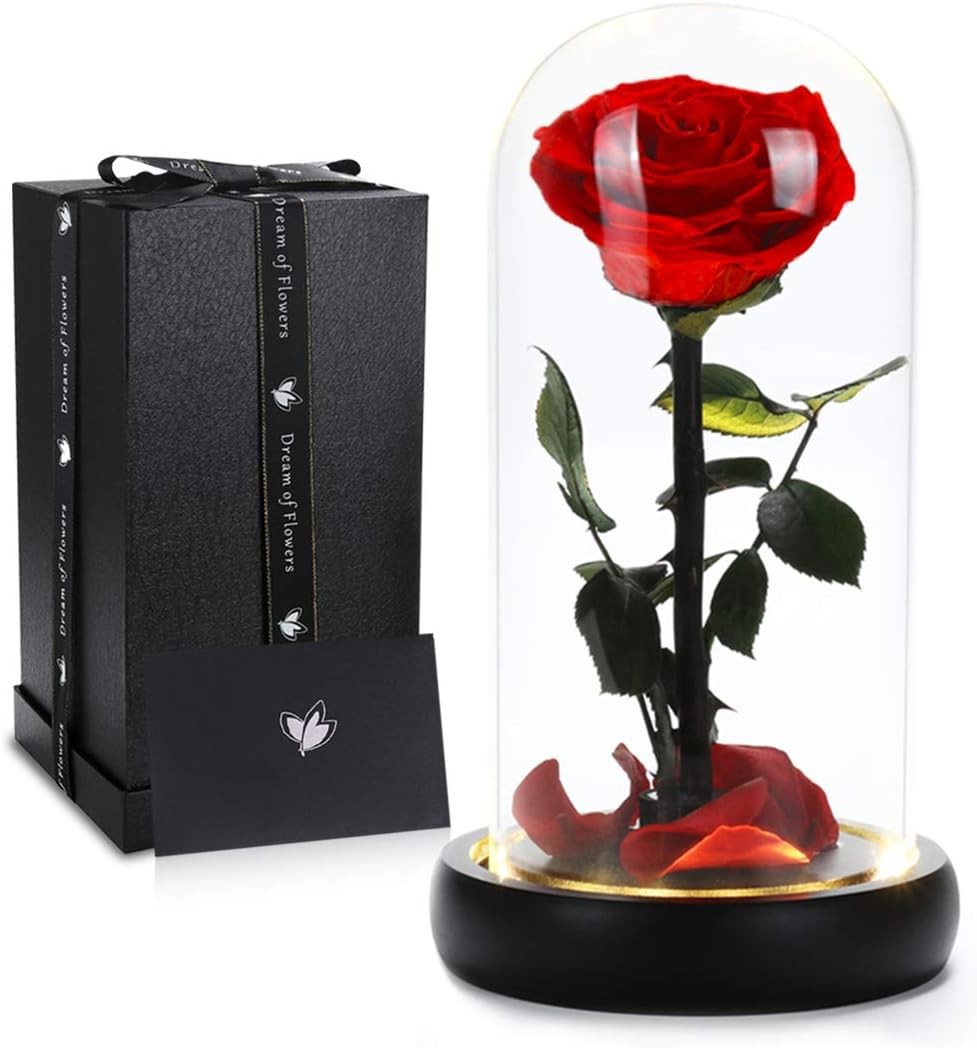 Valentines Day Gifts for Her, Beauty and The Beast Rose,Preserved Real Rose in G