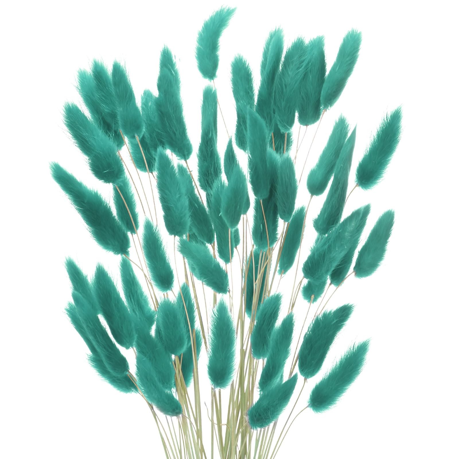 60-Pack Bunny Tails Grass 17 Inch Fluffy Rabbit Tail Grass Dried Flowers Bran…