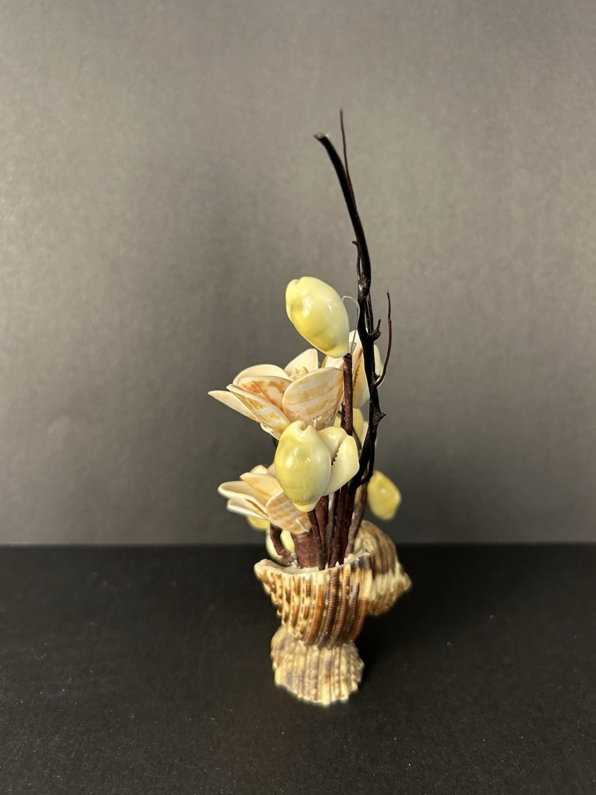 Vintage Cottagecore Kitschy Hand Made Sea Shell Floral Arrangement 6”x4”