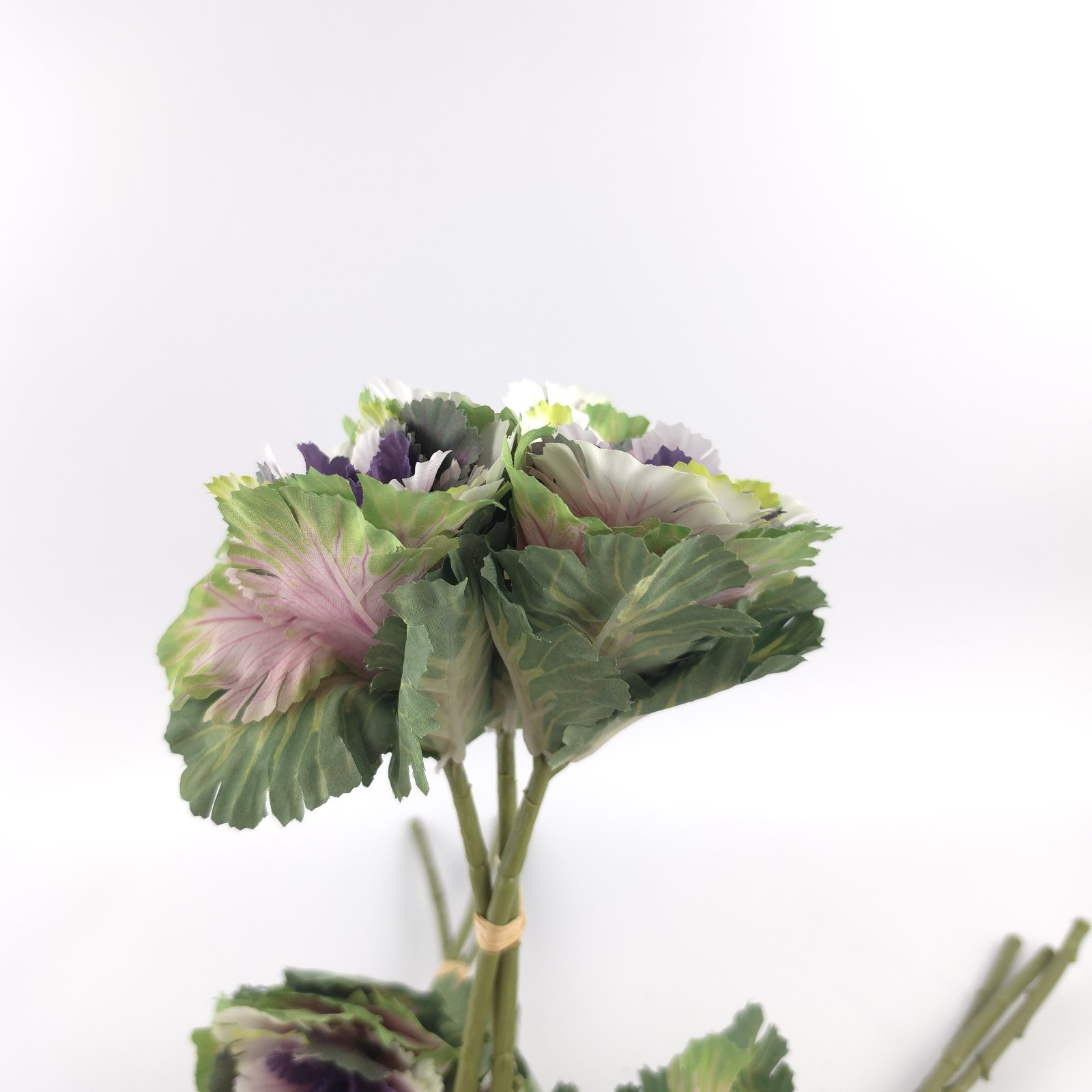 Simply Stunning Set of 3 Cabbage Stems by Janine Graff Purple