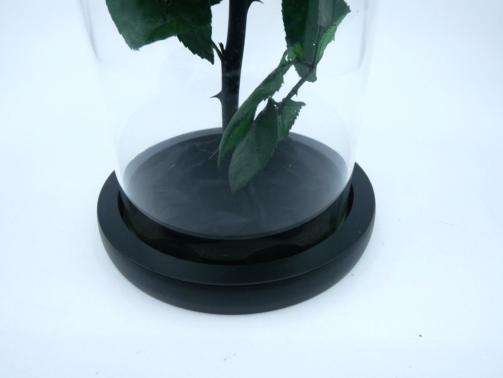 Perfectione Roses Black Rose Preserved Flowers