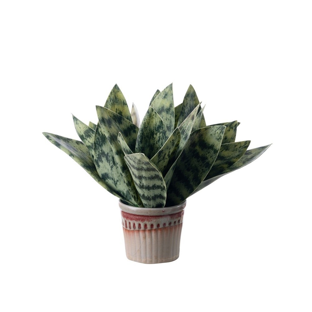 Faux Artificial Snake Plant PVC 19cm Green Leaves for Home Office and Events
