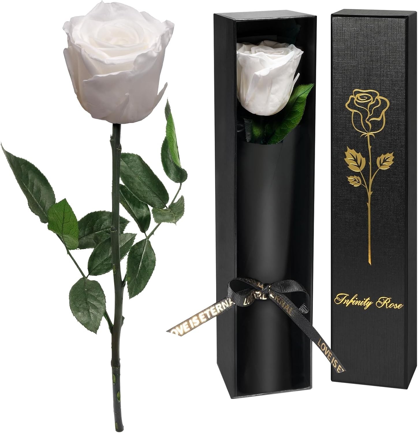 Single Elegant Preserved Rose – Timeless Gift for Her Birthday or Mother’s Day